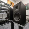 MARTINLOGAN foundation B1 - immagine 2