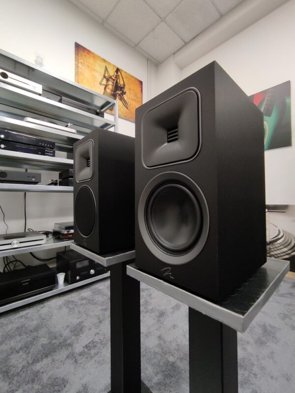 MARTINLOGAN foundation B1 - immagine 2