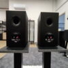 MARTINLOGAN foundation B1 - immagine 3