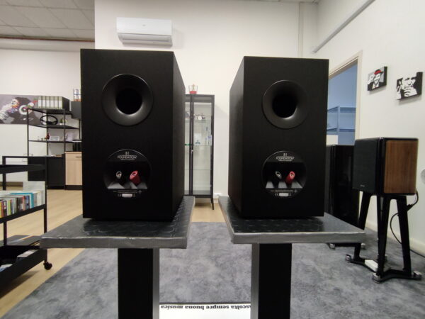 MARTINLOGAN foundation B1 - immagine 3