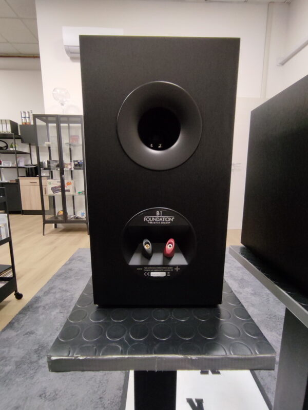 MARTINLOGAN foundation B1 - immagine 4
