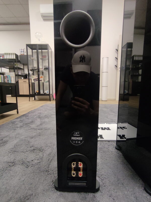 PARADIGM Premier 700F - immagine 4