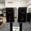 MARTINLOGAN foundation B2 - immagine 2