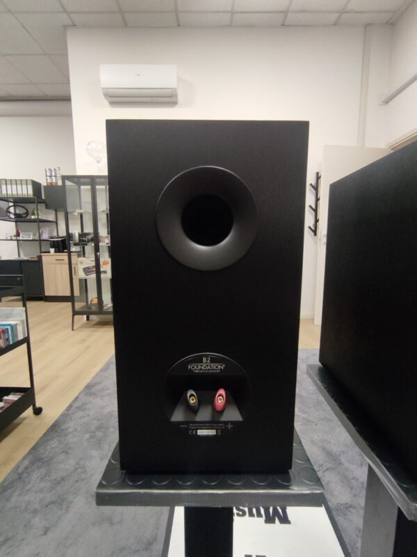 MARTINLOGAN foundation B2 - immagine 3