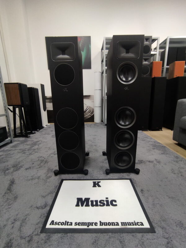 MARTINLOGAN foundation F2