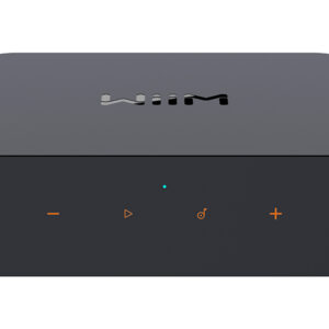 WIIM pro